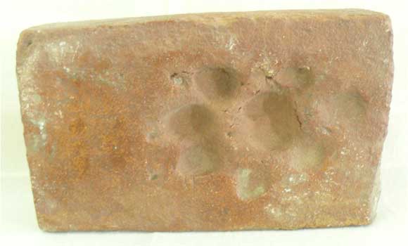 aki019.jpg (16920 bytes)