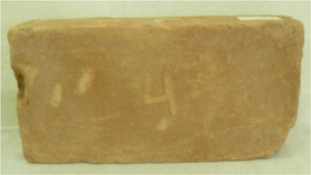 aki033.jpg (9222 bytes)