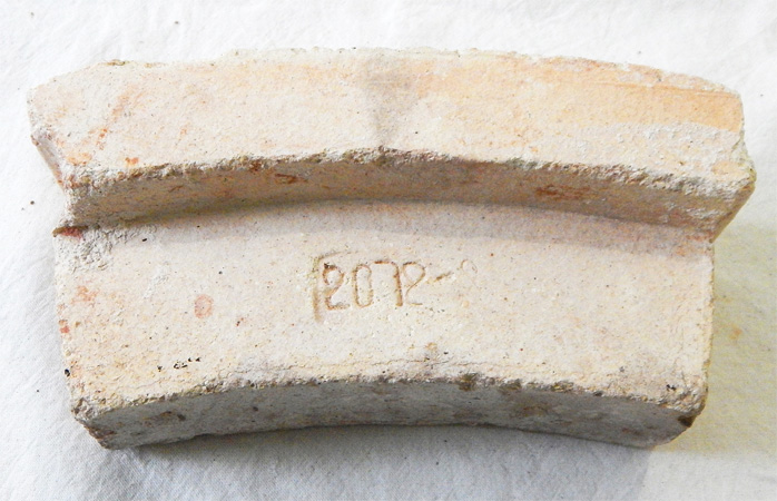 aki155.jpg (128991 bytes)