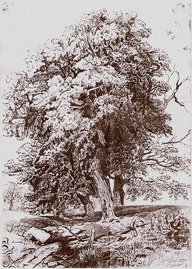 2pau45.jpg (124607 bytes)
